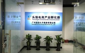 广州电子商务公司有哪些公司名称和地址