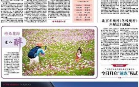 大洋网广州日报数字报纸系列11月9日